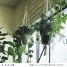観葉植物 人工樹木 フェイクグリーン 造花 ライムアイビー 鉢:HP-15(WH) ハンギング植栽 ハンギングポット 吊り下げポット 高さ750mm-1