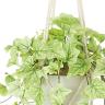 観葉植物 人工樹木 フェイクグリーン 造花 ライムアイビー 鉢:HP-15(WH) ハンギング植栽 ハンギングポット 吊り下げポット 高さ750mm-2