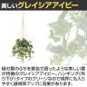 観葉植物 人工樹木 フェイクグリーン 造花 グレイシアアイビー 鉢:HP-15(WH) ハンギング植栽 ハンギングポット 吊り下げポット 高さ750mm-3