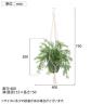 観葉植物 人工樹木 フェイクグリーン 造花 スプレンゲリー 鉢:HP-15 (DG) ハンギング植栽 ハンギングポット 吊り下げポット 高さ750mm-1