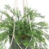 観葉植物 人工樹木 フェイクグリーン 造花 スプレンゲリー 鉢:HP-15 (DG) ハンギング植栽 ハンギングポット 吊り下げポット 高さ750mm-2