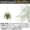 観葉植物 人工樹木 フェイクグリーン 造花 スプレンゲリー 鉢:HP-15 (DG) ハンギング植栽 ハンギングポット 吊り下げポット 高さ750mm-3