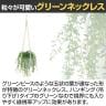 観葉植物 人工樹木 フェイクグリーン 造花 グリーンネックレス 鉢:HP-15(WH) ハンギング植栽 ハンギングポット 吊り下げポット 高さ750mm-3