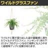 観葉植物 人工樹木 フェイクグリーン 造花 ワイルドグラスファン 鉢:HP-15 (DG) ハンギング植栽 ハンギングポット 吊り下げポット 高さ750mm-3
