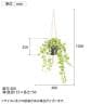 観葉植物 人工樹木 フェイクグリーン 造花 ライムアイビー ロング 鉢:HP-15 (DG) ハンギング植栽 ハンギングポット 吊り下げポット 高さ1050mm-5