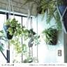 観葉植物 人工樹木 フェイクグリーン 造花 オリヅルラン G 鉢:HP-15 (DG) ハンギング植栽 ハンギングポット 吊り下げポット 高さ750mm-1