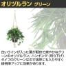 観葉植物 人工樹木 フェイクグリーン 造花 オリヅルラン G 鉢:HP-15 (DG) ハンギング植栽 ハンギングポット 吊り下げポット 高さ750mm-3