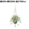 観葉植物 人工樹木 フェイクグリーン 造花 オリヅルラン W/G 鉢:HP-15 (DG) ハンギング植栽 ハンギングポット 吊り下げポット 高さ750mm
