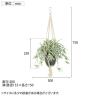 観葉植物 人工樹木 フェイクグリーン 造花 オリヅルラン W/G 鉢:HP-15 (DG) ハンギング植栽 ハンギングポット 吊り下げポット 高さ750mm-1