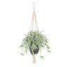 観葉植物 人工樹木 フェイクグリーン 造花 オリヅルラン W/G 鉢:HP-15 (DG) ハンギング植栽 ハンギングポット 吊り下げポット 高さ750mm-19