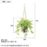 観葉植物 人工樹木 フェイクグリーン 造花 オリヅルラン G/Y 鉢:HP-15 (DG) ハンギング植栽 ハンギングポット 吊り下げポット 高さ750mm-5