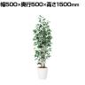 観葉植物 人工樹木 フェイクグリーン 造花 ベンジャミン スリム FST 高さ1500mm 鉢:RP-265