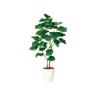 観葉植物 人工 樹木 ウンベラータ FST2本 高さ1200mm Sワイドサイズ 鉢:RP-225-19