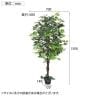 観葉植物 人工樹木 フェイクグリーン インテリアグリーン 造花 ベンジャミン 高さ1500mm-4