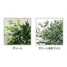 観葉植物 人工樹木 フェイクグリーン インテリアグリーン 造花 ベンジャミン 高さ1800mm-1