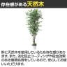 観葉植物 人工樹木 フェイクグリーン インテリアグリーン 造花 ベンジャミン 高さ1800mm-4