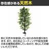 観葉植物 人工樹木 フェイクグリーン インテリアグリーン 造花 ベンジャミン 高さ2100mm-3