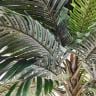 観葉植物 人工樹木 フェイクグリーン インテリアグリーン 造花 デラックスパームツリー 高さ2100mm-3