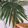 観葉植物 人工樹木 フェイクグリーン インテリアグリーン 造花 デラックスパームツリー 高さ2100mm-4