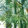 観葉植物 人工樹木 フェイクグリーン インテリアグリーン 造花 アレカヤシ 高さ1800mm-2