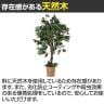 観葉植物 人工樹木 フェイクグリーン インテリアグリーン 造花 ベンジャミン 鉢カゴタイプ 高さ1100mm-2