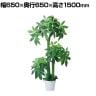 観葉植物 人工樹木 フェイクグリーン インテリアグリーン 造花 パキラ 高さ1500mm