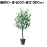 観葉植物 人工樹木 フェイクグリーン インテリアグリーン 造花 オリーブ 高さ1500mm