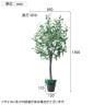 観葉植物 人工樹木 フェイクグリーン インテリアグリーン 造花 オリーブ 高さ1500mm-2