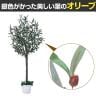 観葉植物 人工樹木 フェイクグリーン インテリアグリーン 造花 オリーブ 高さ1800mm-1