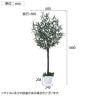 観葉植物 人工樹木 フェイクグリーン インテリアグリーン 造花 オリーブ 高さ1800mm-2