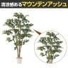観葉植物 人工樹木 フェイクグリーン インテリアグリーン 造花 マウンテンアッシュ 高さ1500mm-2