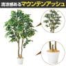 観葉植物 人工樹木 フェイクグリーン インテリアグリーン 造花 マウンテンアッシュ 高さ1800mm-1