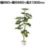 観葉植物 人工樹木 フェイクグリーン インテリアグリーン 造花 フィカスウンベラータ 高さ1300mm