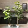 観葉植物 人工樹木 フェイクグリーン インテリアグリーン 造花 フィカスウンベラータ 高さ1300mm-1