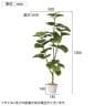 観葉植物 人工樹木 フェイクグリーン インテリアグリーン 造花 フィカスウンベラータ 高さ1300mm-3