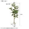 観葉植物 人工樹木 フェイクグリーン インテリアグリーン 造花 フィカスウンベラータ 高さ1550mm-3