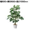 観葉植物 人工樹木 フェイクグリーン インテリアグリーン 造花 シェフレラ 高さ1000mm