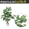 観葉植物 人工樹木 フェイクグリーン インテリアグリーン 造花 シェフレラ 高さ1000mm-3