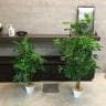 観葉植物 人工樹木 フェイクグリーン インテリアグリーン 造花 シェフレラ 高さ1350mm-1