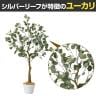 観葉植物 人工樹木 フェイクグリーン インテリアグリーン 造花 ユーカリ 高さ1150mm-2
