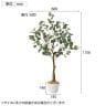 観葉植物 人工樹木 フェイクグリーン インテリアグリーン 造花 ユーカリ 高さ1150mm-3