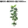 観葉植物 人工樹木 フェイクグリーン インテリアグリーン 造花 モンステラ 高さ1650mm