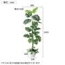 観葉植物 人工樹木 フェイクグリーン インテリアグリーン 造花 モンステラ 高さ1650mm-4
