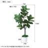 観葉植物 人工樹木 フェイクグリーン インテリアグリーン 造花 ゴムの木 高さ1500mm-2