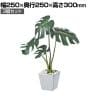 【3個セット】卓上グリーンポット 観葉植物 人工樹木 フェイクグリーン インテリアグリーン 造花 モンステラ 幅250×奥行250×高さ300mm