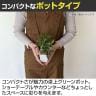【3個セット】卓上グリーンポット 観葉植物 人工樹木 フェイクグリーン インテリアグリーン 造花 ドラセナ・サンテリアーナ 幅200×奥行200×高さ250mm-2