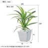 【3個セット】卓上グリーンポット 観葉植物 人工樹木 フェイクグリーン インテリアグリーン 造花 ドラセナ・サンテリアーナ 幅200×奥行200×高さ250mm-3