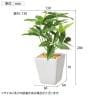 【3個セット】卓上グリーンポット 観葉植物 人工樹木 フェイクグリーン インテリアグリーン 造花 パキラ 幅130×奥行130×高さ200mm-6