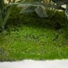 [オプション]プランターボックス専用植栽 フェイクグリーン 観葉植物 幅950×奥行300×高さ400mm-2