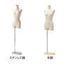 婦人芯地張ボディ 9号 上半身のみ 腕なし 女性 業務用 店頭用 店舗什器 陳列什器 アパレル-1